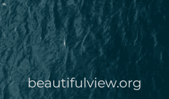 beautifulview.org