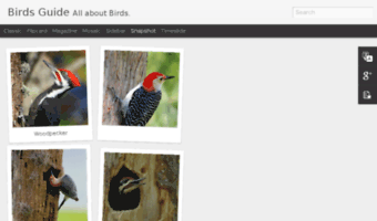 birdsguide.blogspot.com