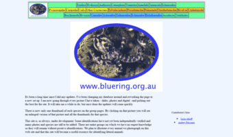 bluering.org.au