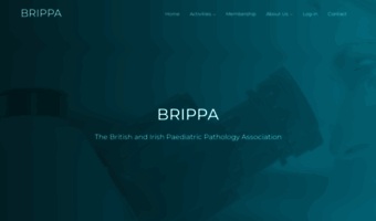 brippa.org