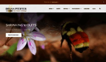 bryanpfeiffer.com
