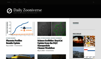 daily.zooniverse.org