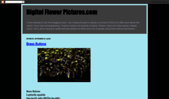 digitalflowerpictures.blogspot.com