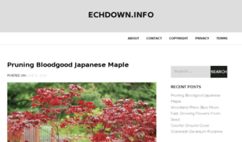 echdown.info