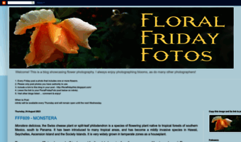 floralfridayfoto.blogspot.com