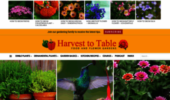 harvesttotable.com