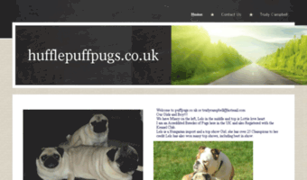 hufflepuffpugs.co.uk