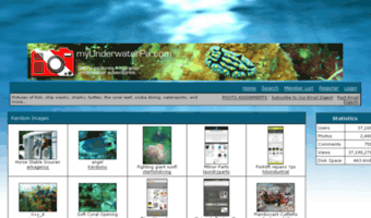 myunderwaterpix.com