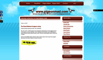 pigeonmad.com