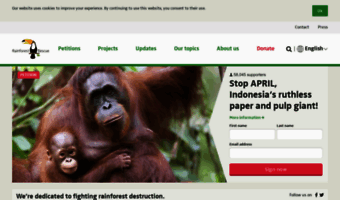 rainforest-rescue.org