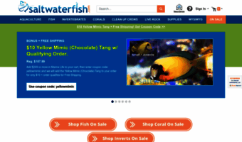 saltwaterfish.com