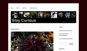 stay-curious.com