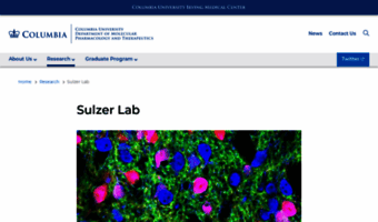 sulzerlab.org