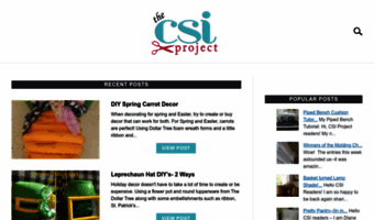 thecsiproject.com