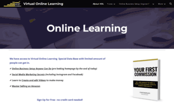 virtualonlinelearning.info