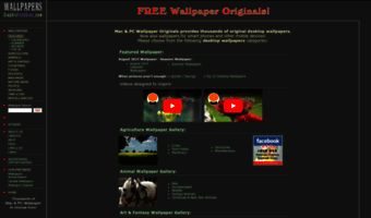 wallpapers.graphicfreebies.com