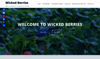 wickedberries.com.au