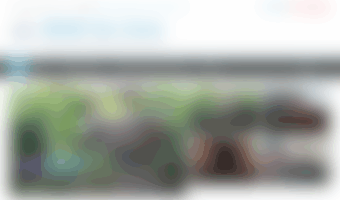 wdwfanzone.com