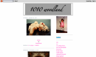 1010woodland.blogspot.com