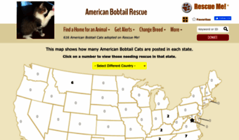 americanbobtail.rescueme.org