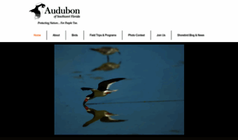 audubonswfl.org