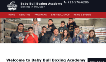 babybullboxing.perfectmind.com