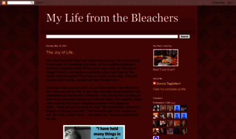 bleachervision.blogspot.com