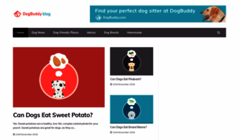 blog.dogbuddy.com