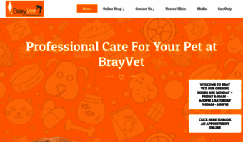 brayvet.com