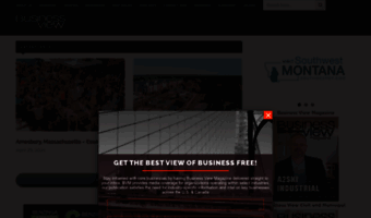 businessviewmagazine.com