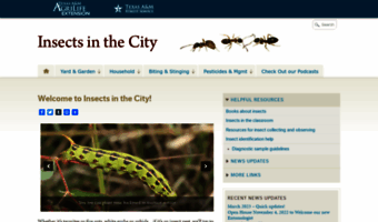 citybugs.tamu.edu
