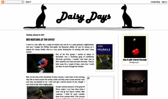 daisydays.blogspot.com