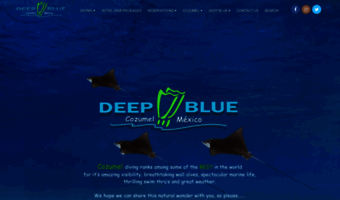  ▷ Observe Deep Blue Cozumel News | Deep Blue dive shop, scuba  diving in Cozumel...