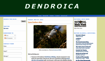 dendroica.blogspot.com