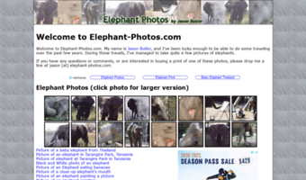 elephant-photos.com