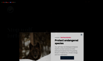 endangered.org