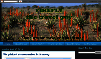 fireflyafrica.blogspot.com