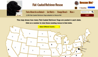 flatcoatedretriever.rescueme.org