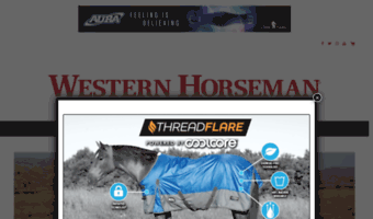 forums.horsecity.com