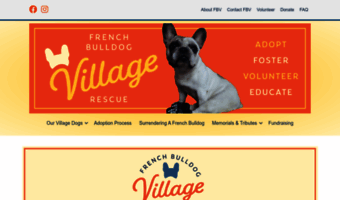 french bulldog village rescue adoption