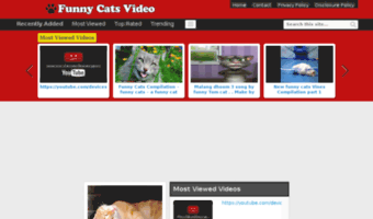 funny-cats-video.com