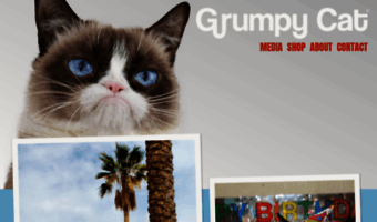 grumpycats.com