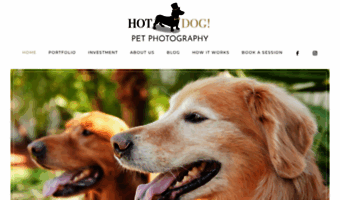 hotdogpetphotography.com