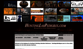 huntinglabpedigree.com