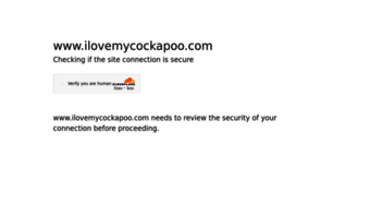 ilovemycockapoo.com