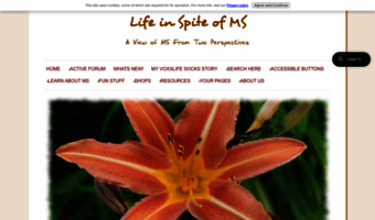 life-in-spite-of-ms.com