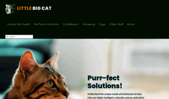 littlebigcat.com