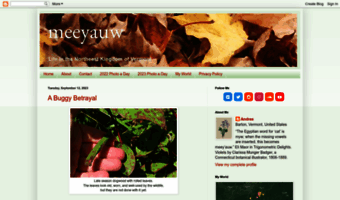 meeyauw.blogspot.com