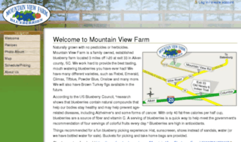 mountainviewblueberry.com