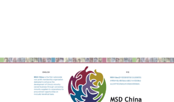 msdchina.org